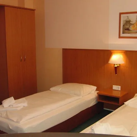 فندق Langwasser Messe Nichtraucherhotel 3*