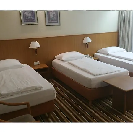 Langwasser Messe Nichtraucherhotel فندق 3*