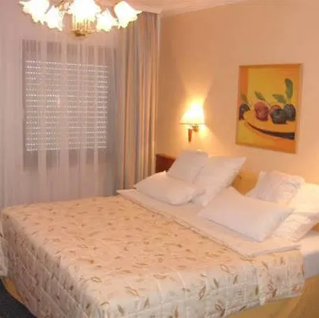 Langwasser Messe Nichtraucherhotel فندق 3*